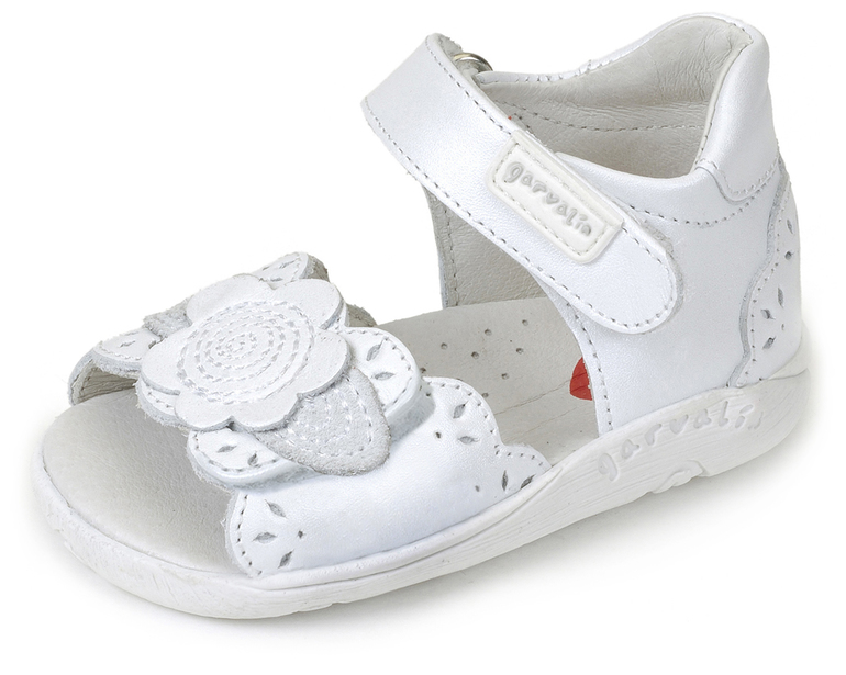 G@@@N, А@@та, лето 2014, СС без рядов