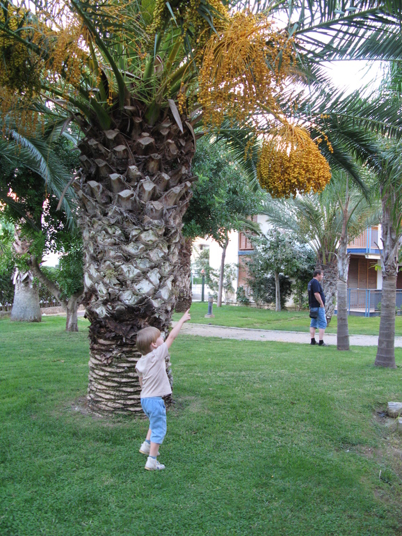 Ну, вот и мы съездили на море!