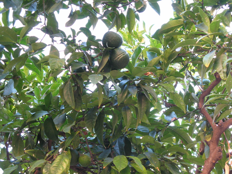 Испания. Террагона. Сентябрь 2013 г.