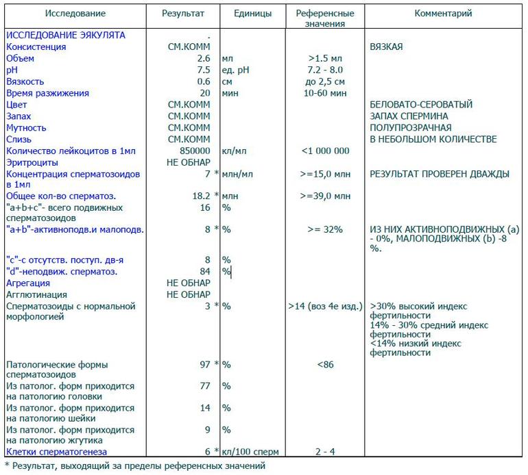 Хороший результат спермограммы фото