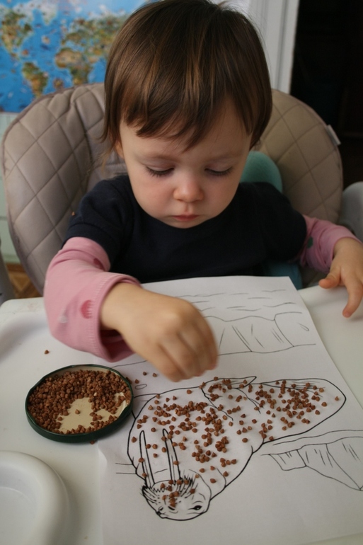 ФМ ТН Арктика и Антарктика