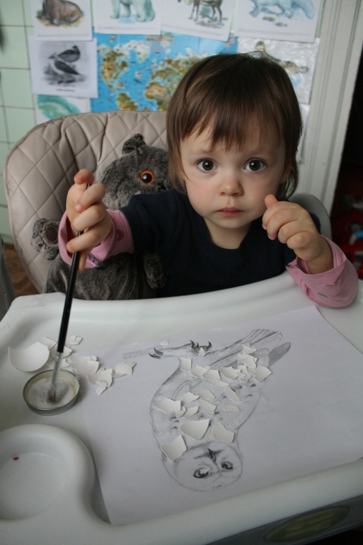 ФМ ТН Арктика и Антарктика