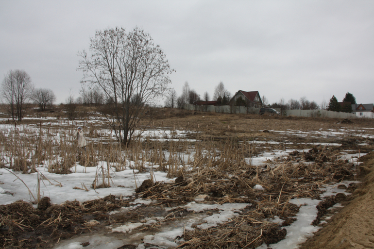 Дорога в будущее