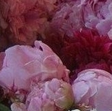 Выкуп Шторы от 05.03.14