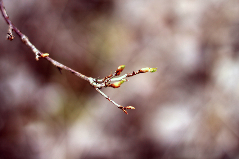 Д/З Эпизод пятый. Линии в кадре.