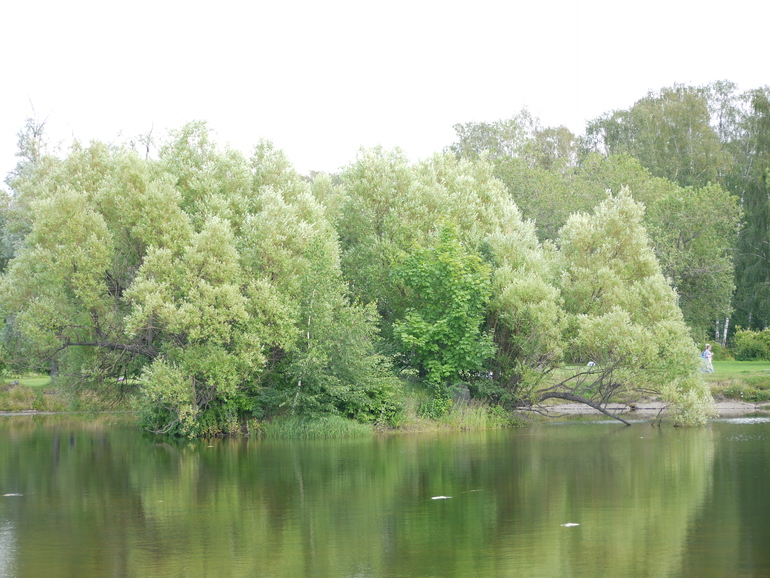 Фотки природы.