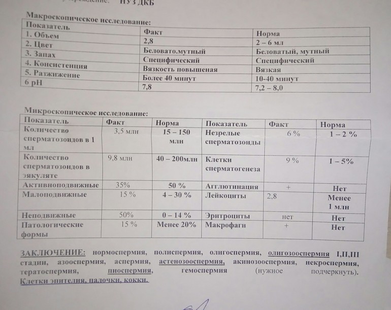 Протокол инсеминации. Процедура внутриматочной инсеминации. Перечень анализов для эко. Искусственная внутриматочная инсеминация. Инсеминация какие анализы.