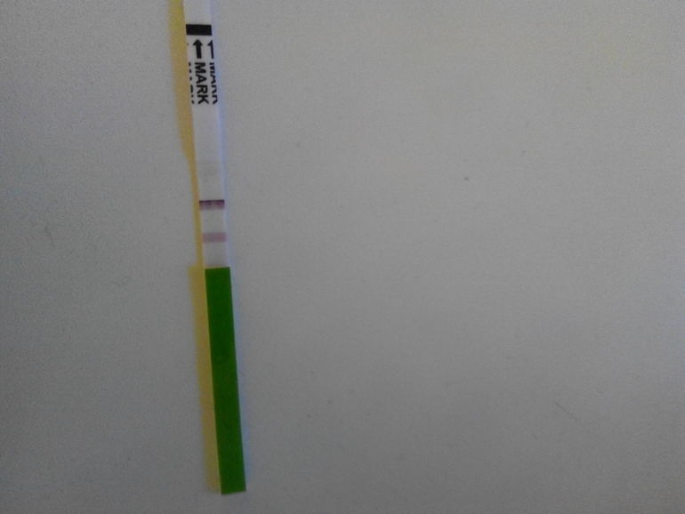 Овуляция ????