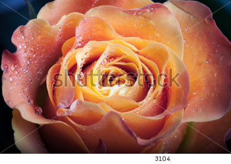 ИЗГОТОВЛЕНИЕ КАЧЕСТВЕННЫХ ФОТООБОЕВ НА НЕМЕЦКОЙ БУМАГЕ