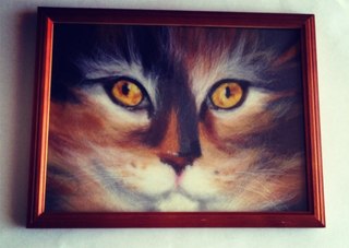 Картина из шерсти