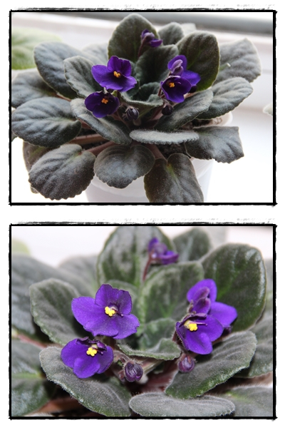 Весенее настроение