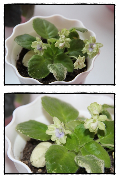 Весенее настроение