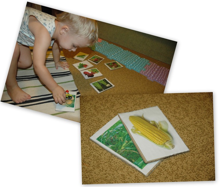 ФМ Овощи 4 день