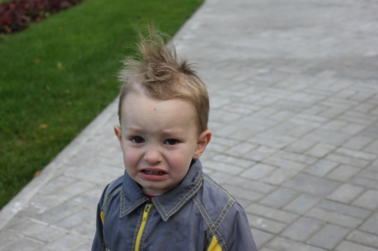 прогулка с невестами из сада)