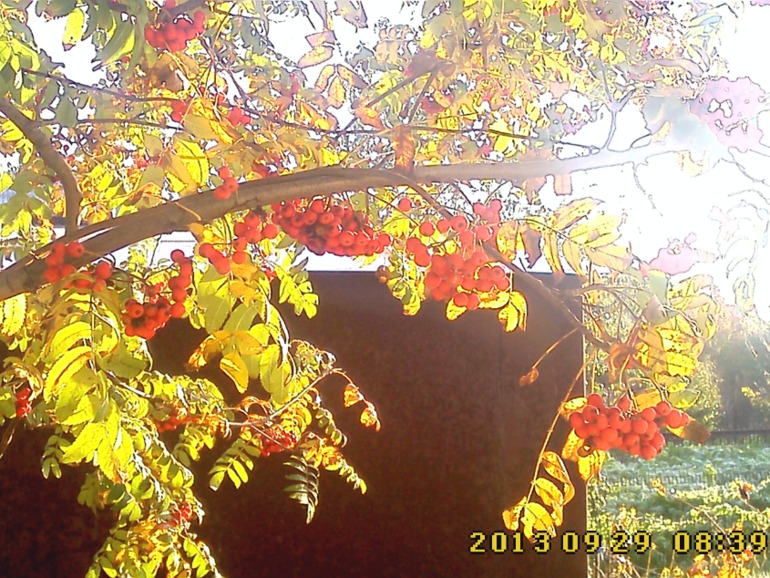 Воскресенье.