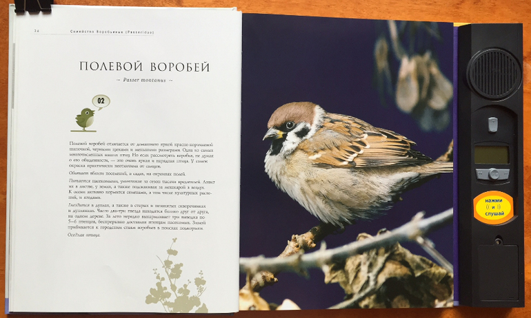 Купить Книгу Человек Как Животное Никонов