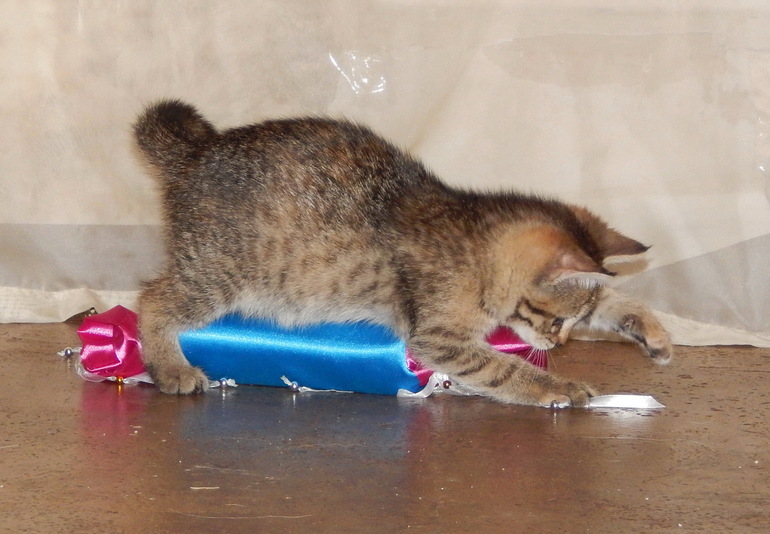 Вот такая у нас идилия