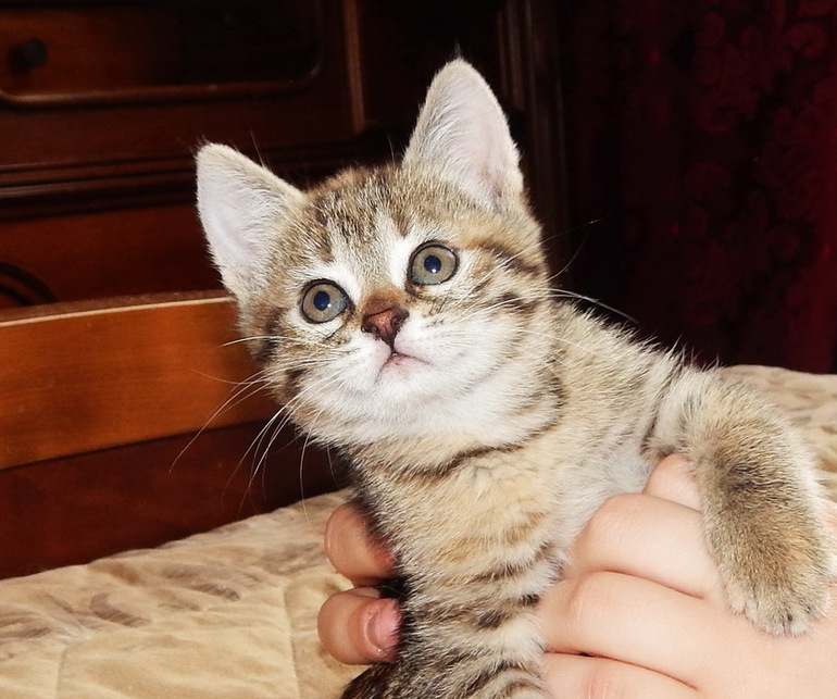 Вот такая у нас идилия