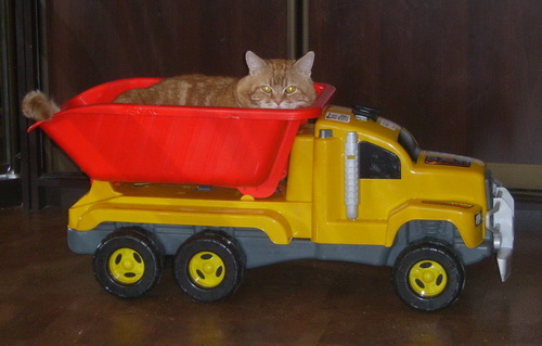 Отпраздновали 1 годик!