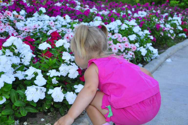 А мы вчера прилетели из Турции!!!