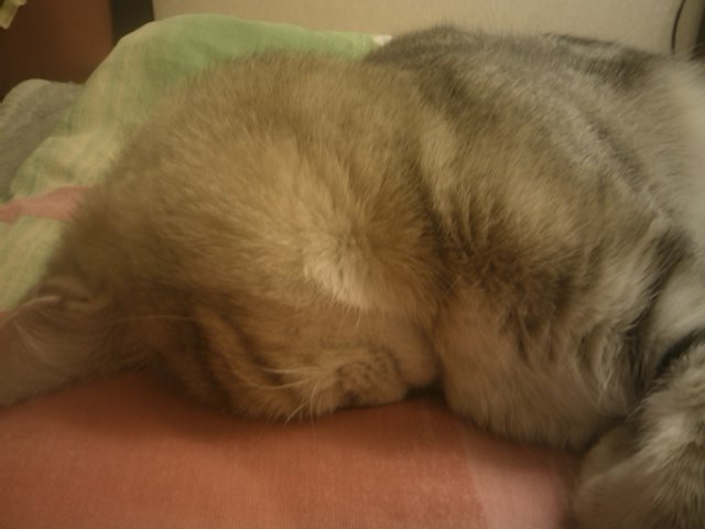 Как так можно спать?