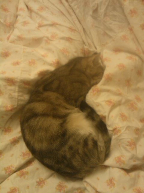 Как так можно спать?