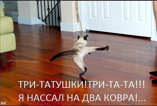 Никогда не жалей о сделанном,если в этот момент ты был счастлив!)