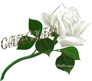 Вы больше, чем друзья!!!!