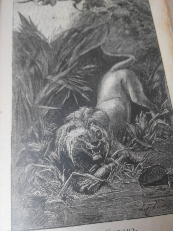 Басни Н. А. Крылова