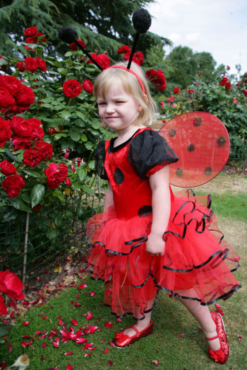 Новинки!!! Волшебные и сказочные карнавальные костюмы!!!