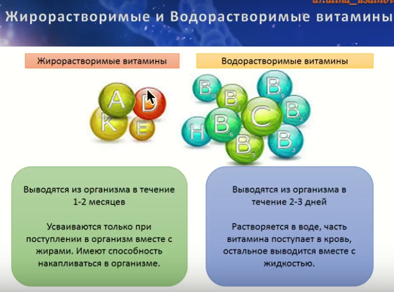 Проект биологическое значение жирорастворимых витаминов