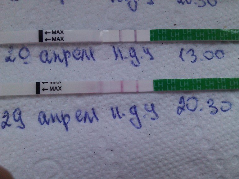 Тест на овуляцию...дубль 2