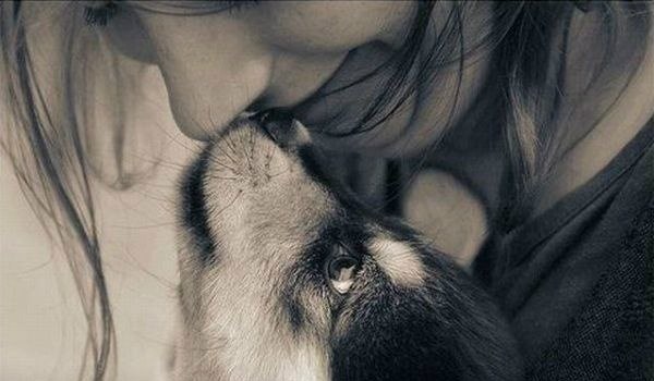 Птичий рынок. Смешались звуки