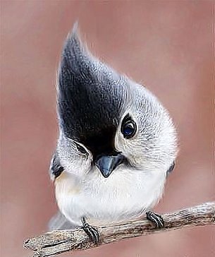 Сам себе диагност