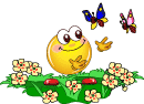 8b6fb203276e3f116a88164ddbec373e.gif