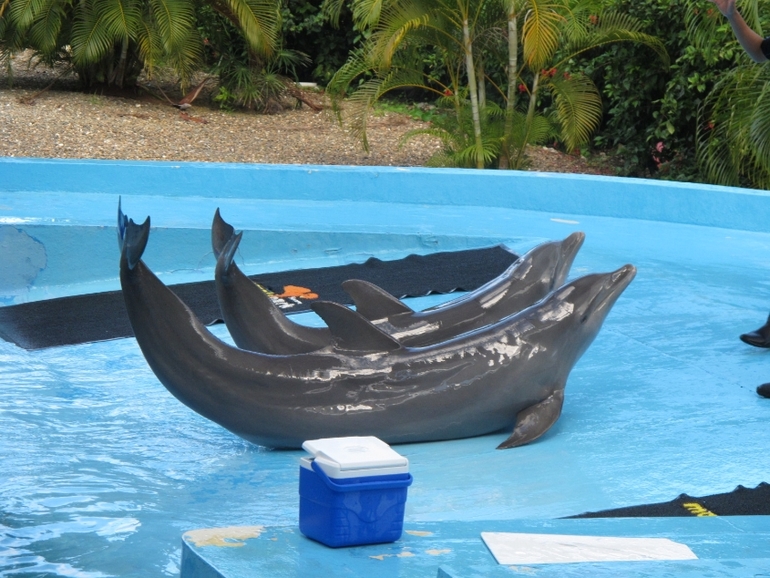 Пунта-Кана с дочкой в 1,4 года, декабрь.