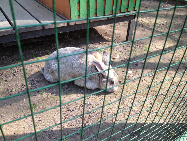 2 мая. Парк Горького