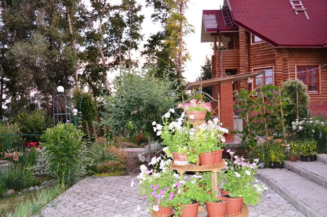 А вот и наш Дом!