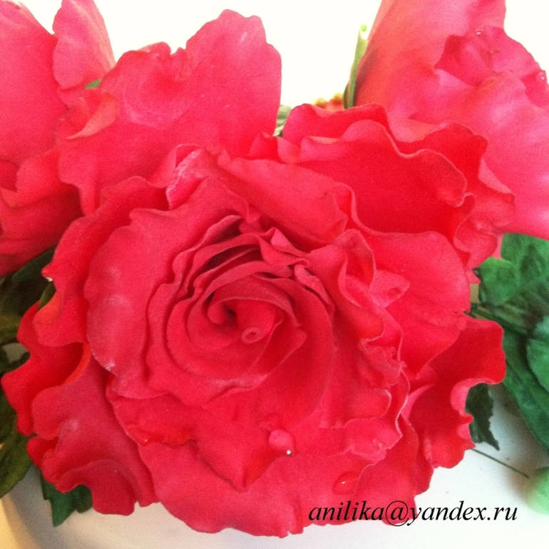 Садовые розы