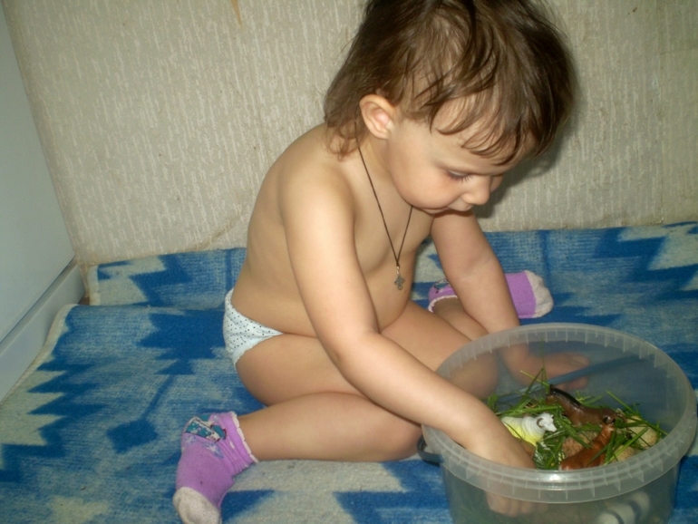 ФМ Домашние животные День 1