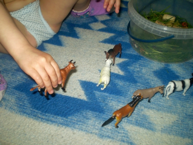 ФМ Домашние животные День 1