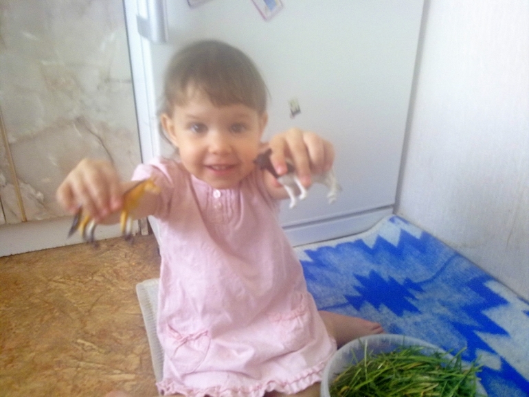 ФМ Домашние животные День 1