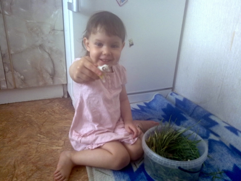 ФМ Домашние животные День 1