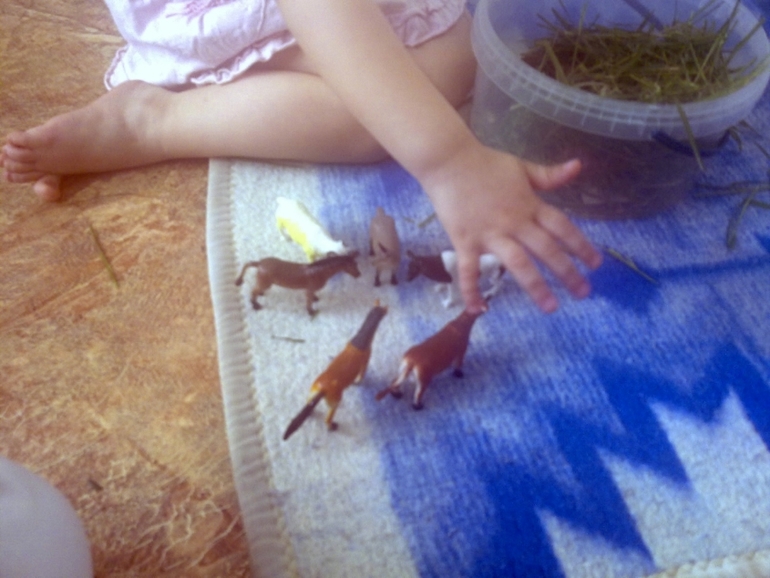 ФМ Домашние животные День 1