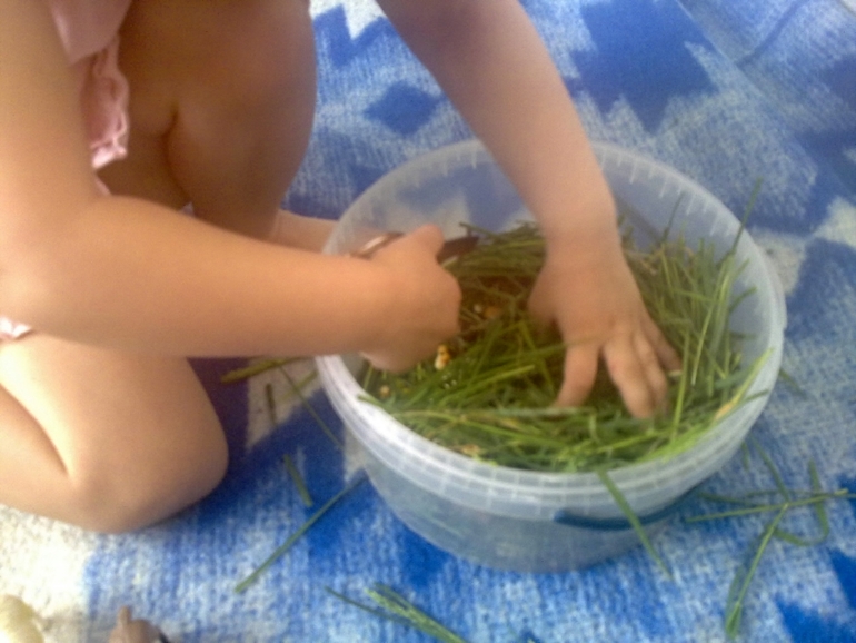 ФМ Домашние животные День 1