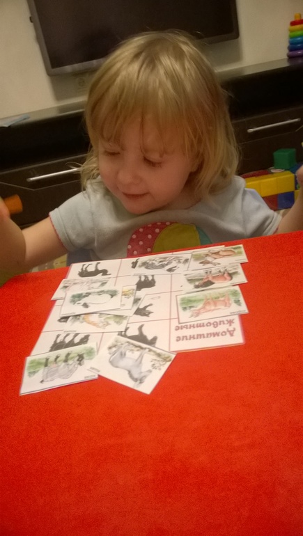 Тематическая неделя Домашние животные день 1