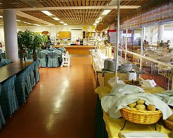 В гости к Санта Клаусу! Финляндия. Романиеми.