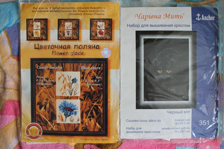 Вот и я получила своего хомячка))