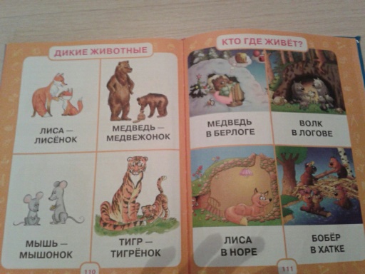 ТН Сказки 25 - 29 ноября
