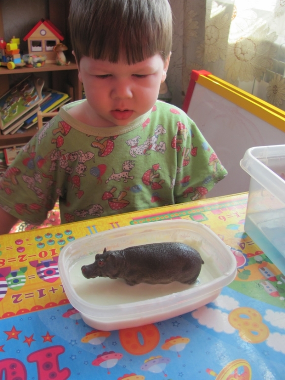 Природные зоны Африки.(Немного сенсорных коробочек)